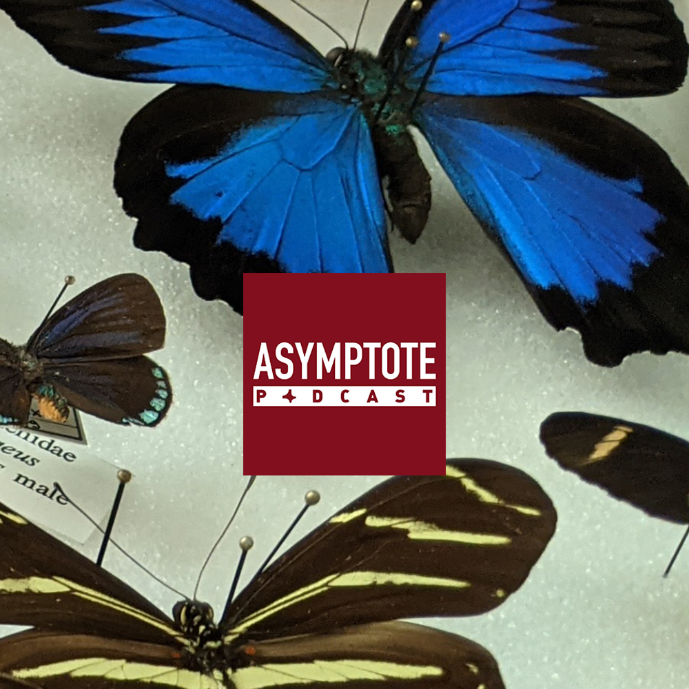 Ready to start off your week with some world literature? The Asymptote Podcast is back, and this week we interview leading academics about Vladimir Nabokov's twin passions—literature and lepidoptera, i.e., butterflies! Tune in: tinyurl.com/2m489zpt