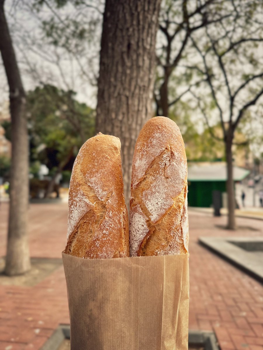 Ленивое утро понедельника, начинаю с похода в пекарню🥖 А как дела у вас в офисах?