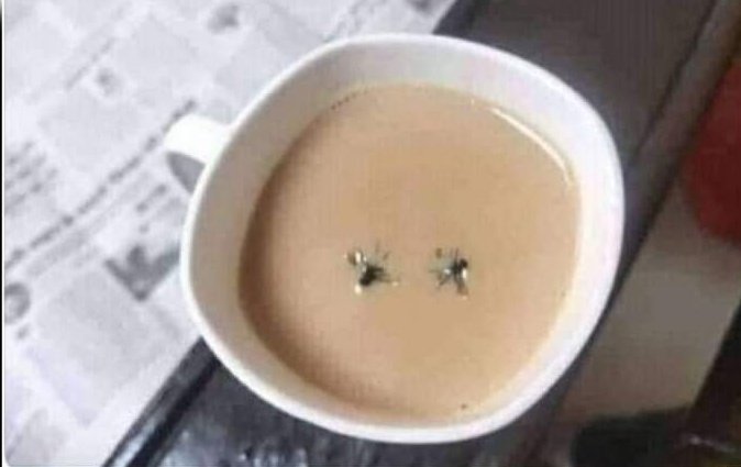 Lagta in dono ke ghr valy bhi ni maan rhy thy 😁😂🤣

#yousaf