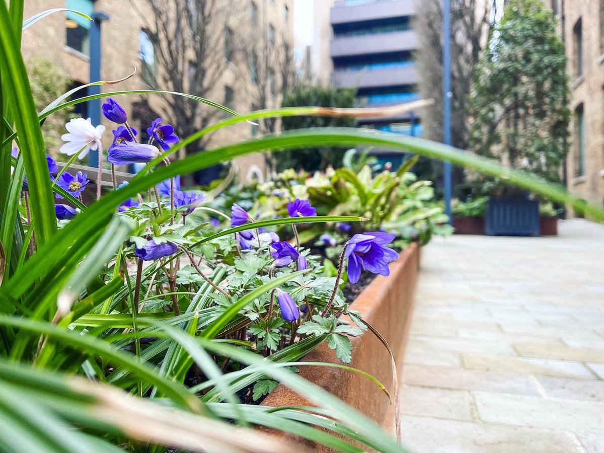 Bourne Amenity tweet media