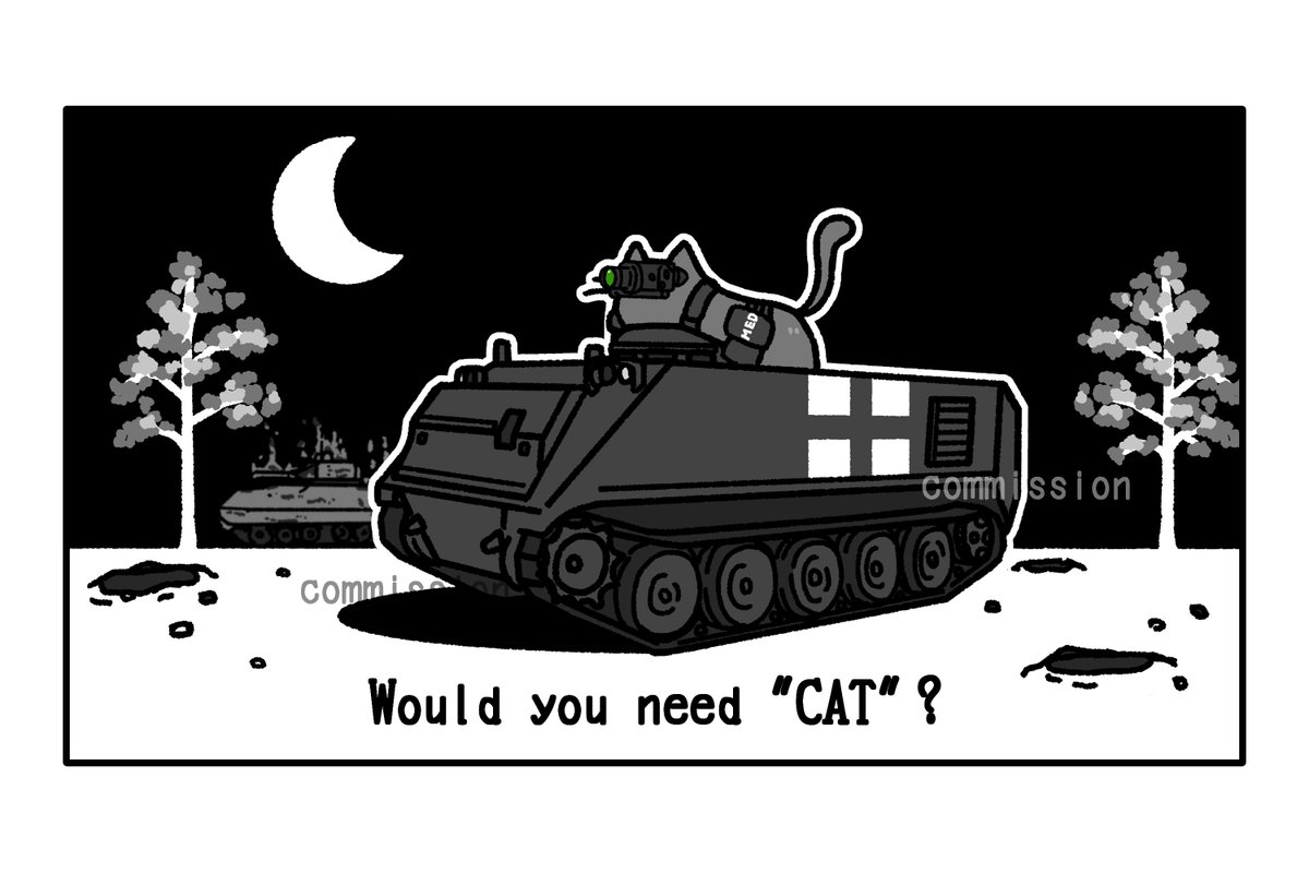 ウクライナの方より
「私の仕事を描いて欲しい!」
とのcommissionを頂きました
🩹🐱🚑 