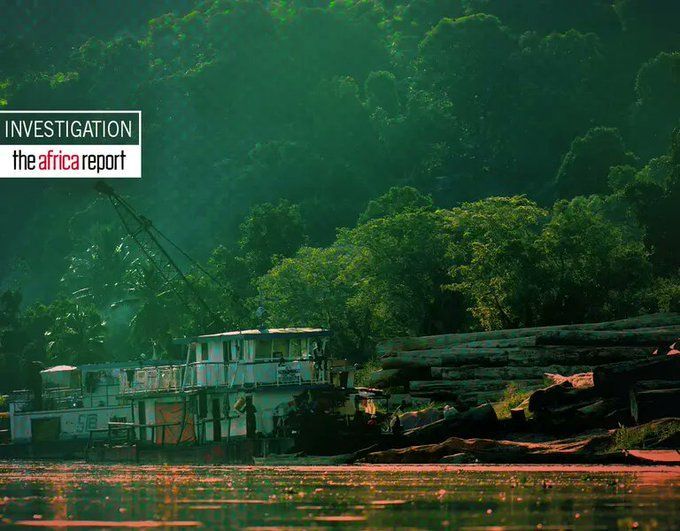 This investigative series by @TheAfricaReport, in association with the @Rainforest_RIN, digs into timber smuggling from the DR Congo through Kenya and Uganda. Part I: buff.ly/3PQNRNP Part II: buff.ly/3PRjre3 Part III: buff.ly/3U3YgYR