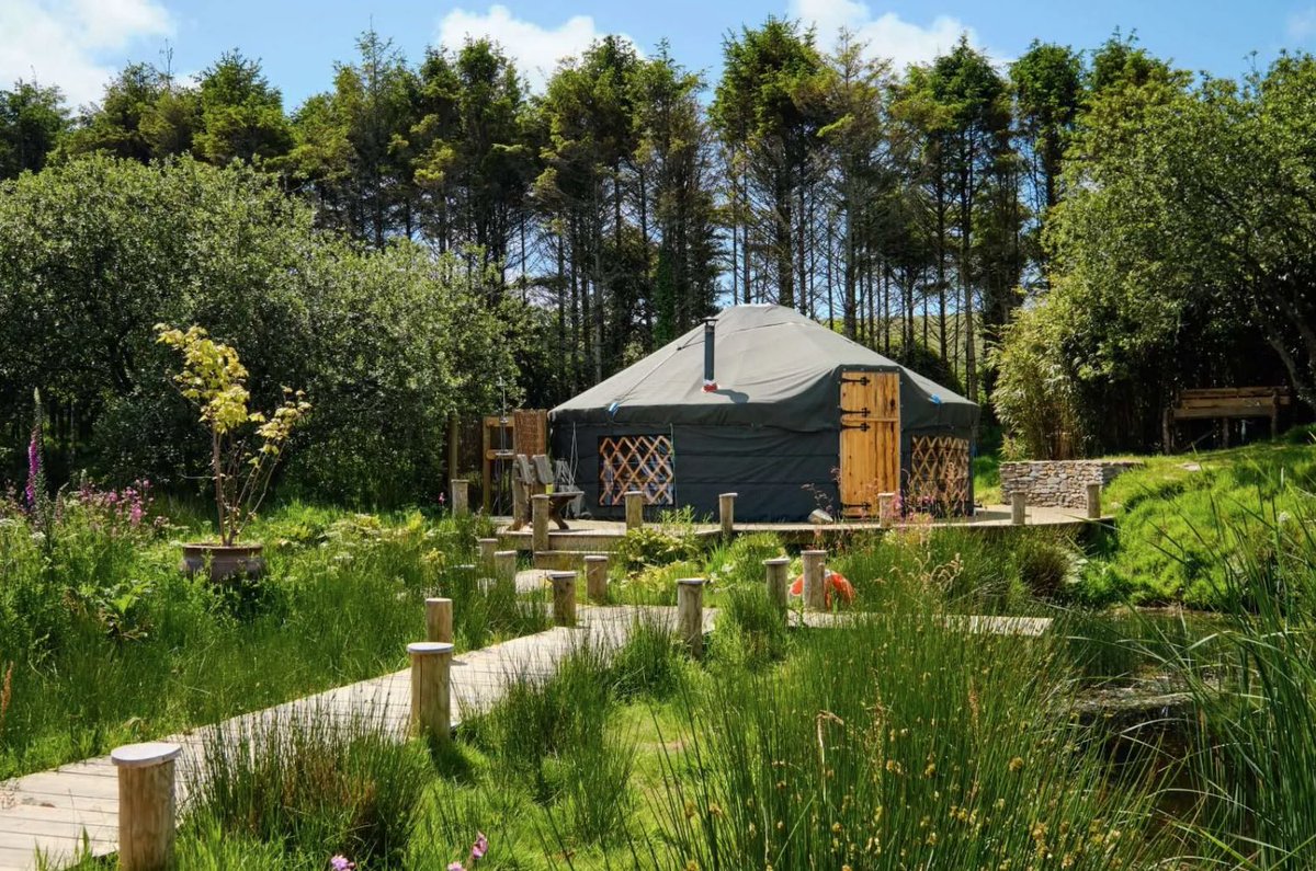 Dip Advisor tweet media