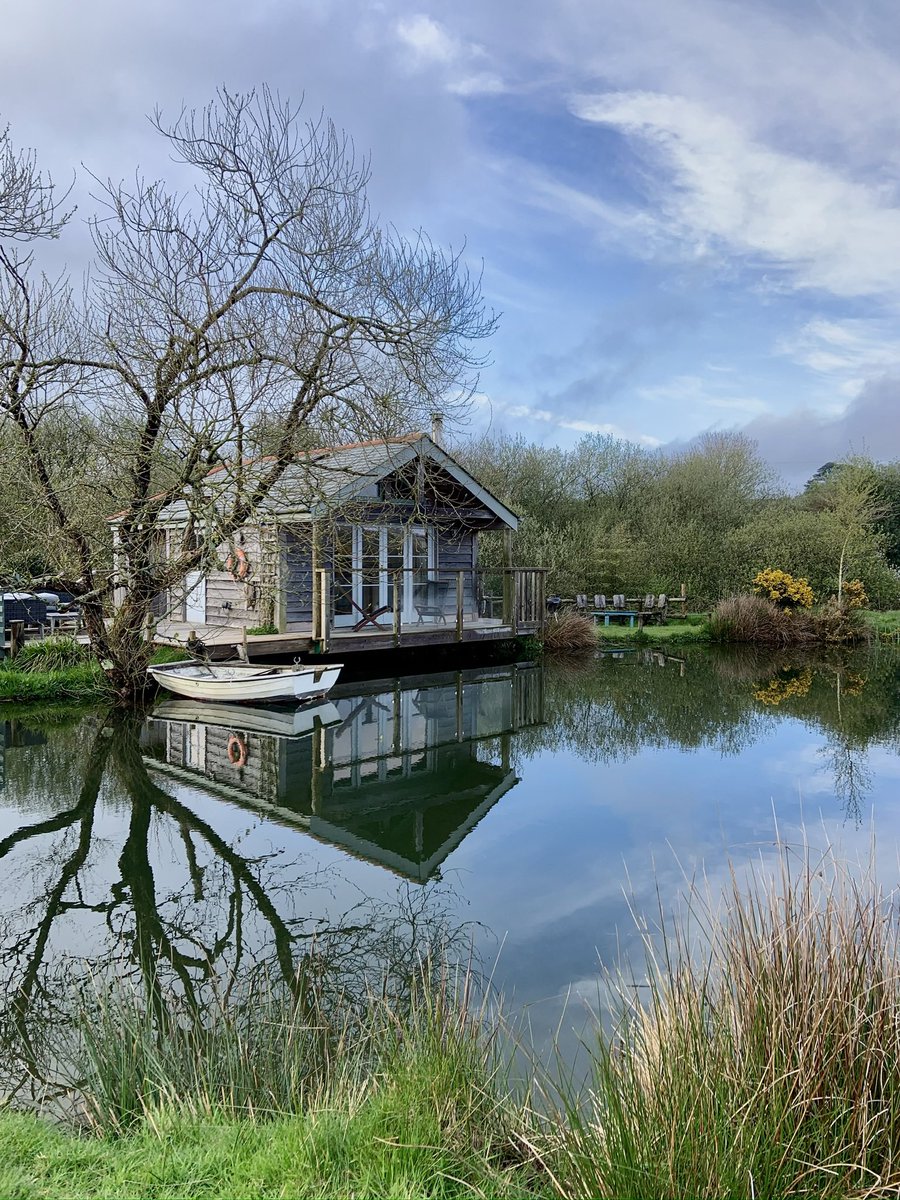 Dip Advisor tweet media