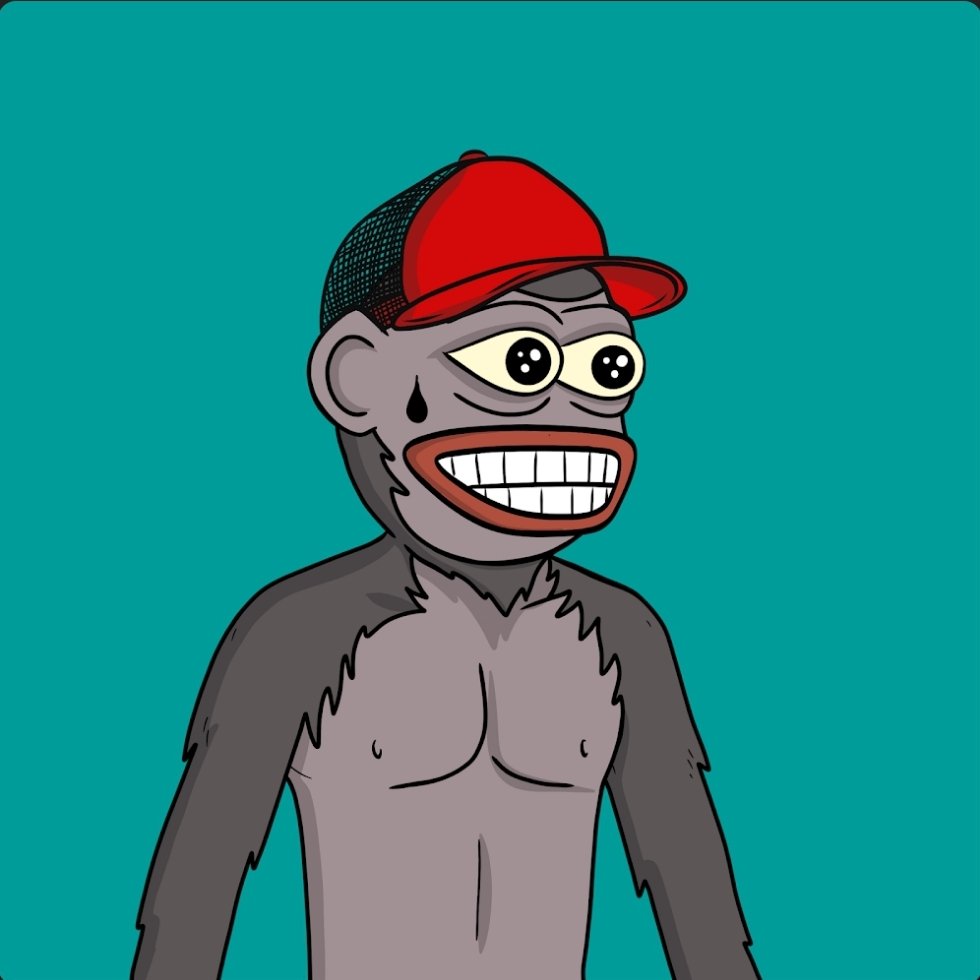 GemsScope tweet media