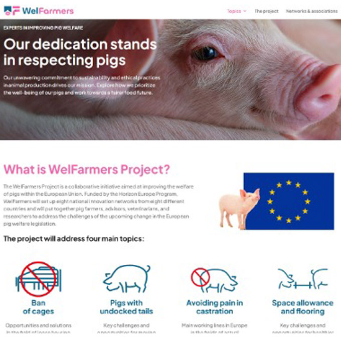 WelFarmers is proud to announce the launch of its website. It will unfold in three phases, each offering unique insights and resources to stakeholders across the industry. Click on the link to take a look!

#welfarmers #pig #pigs #EU #horizoneurope #pigwelfare #newsite