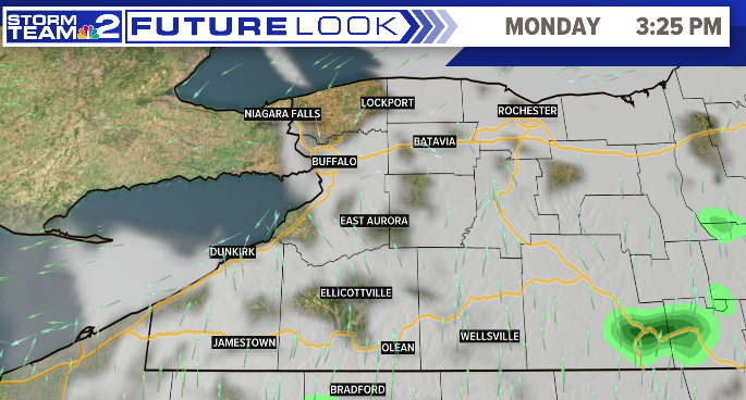 Patrick Hammer tweet media