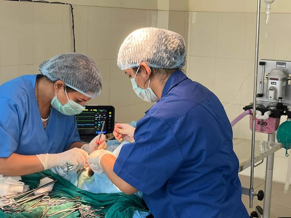 1st time in the Government Veterinary Hospital,with the latest and advanced technology under Gas anesthesia( Isoflurane) Orchiectomy was performed in a male dog in Uttarakhand State Referral Centre (Dogs & Cats), Dehradun @BahugunaUK @pushkardhami