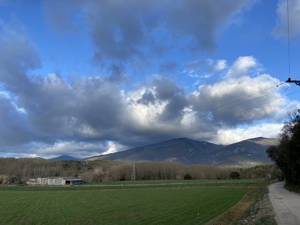 Si busqueu fer un tram ben tranquil i agradable per la Tourdera, us recomanem el tram que connecta Gualba (@gualbainfo) amb La Batllòria, on podeu aprofitar per fer un bany de bosc com us comentàvem per la web (tourdera.cat/els-banys-de-b…). Què us sembla la proposta?