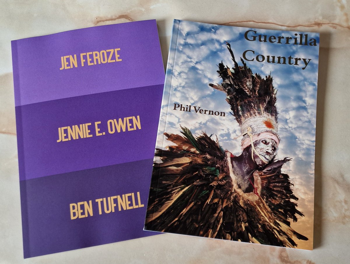 When your mail is typically nothing but bills and circulars, a day like today is a good mail day. Many thanks to @nine_pens and @FoD_Press for this wonderful pair! Looking forward to reading @jenlareine and @philvernon2 in particular.