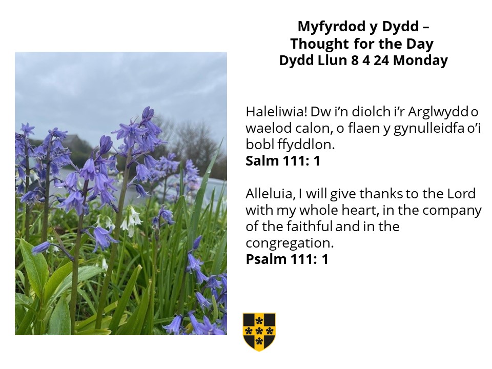 Myfyrdod y Dydd Llun / Thought for Monday 🙏👇 Salm 111 O flaen a gynulleidfa o'i bobl ffyddlon. In the company of the faithful and in the congregation. @ChurchinWales @CytunNew