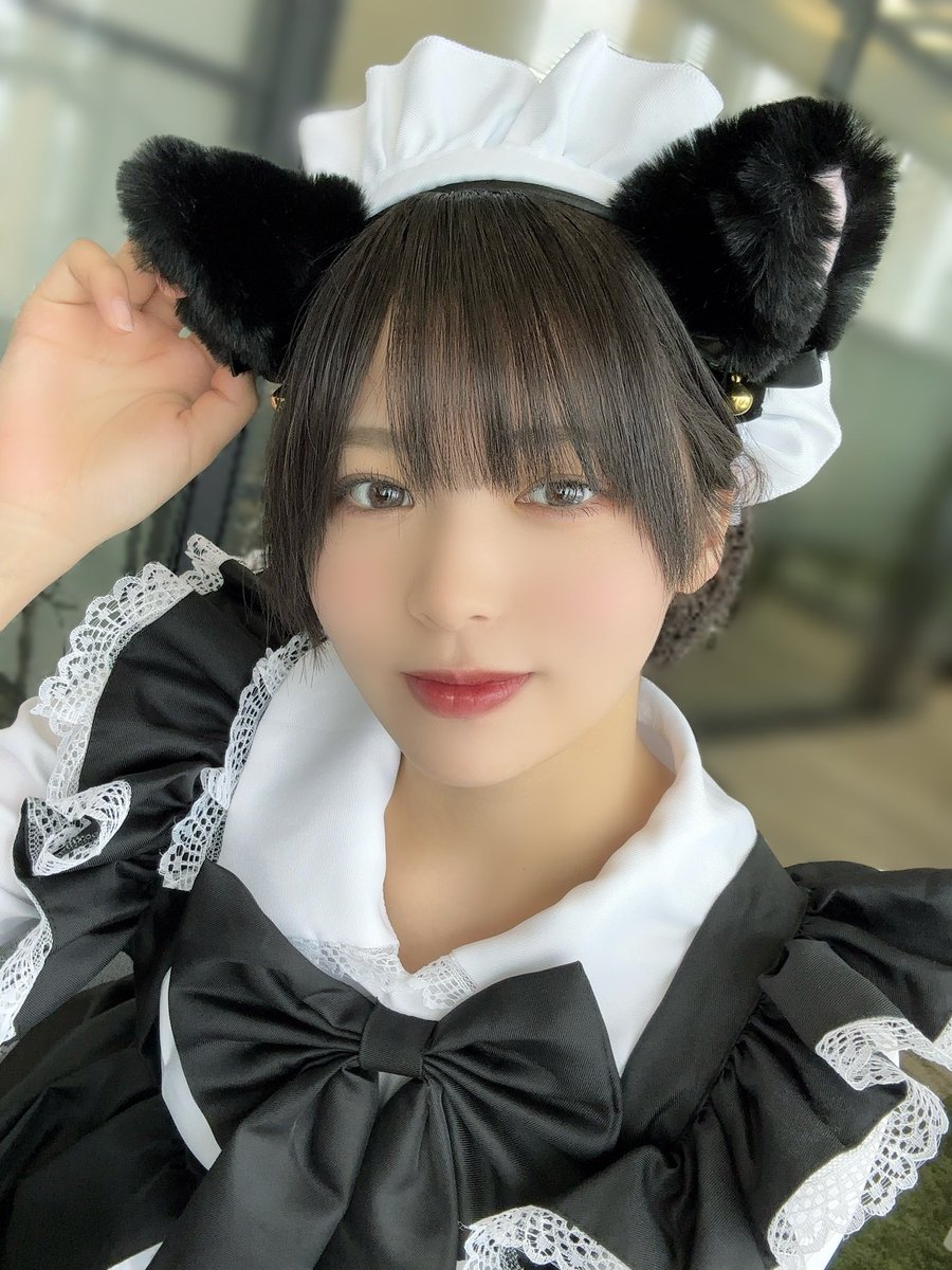 吾輩は猫である。 #ニアジョイ