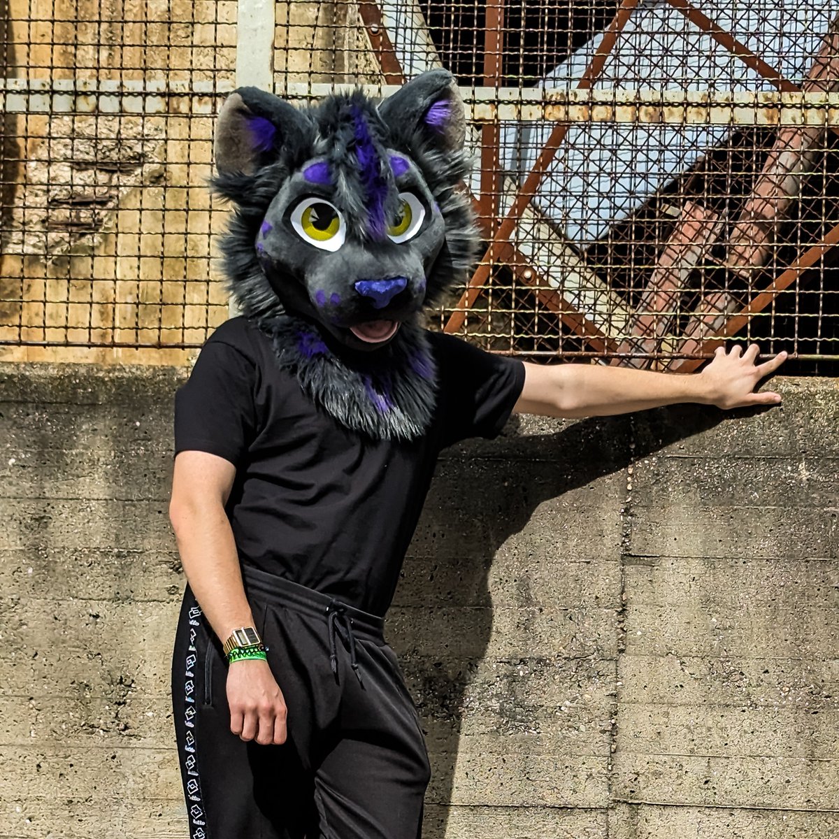 CMD➡️EF 🐆🐆🐆 tweet media