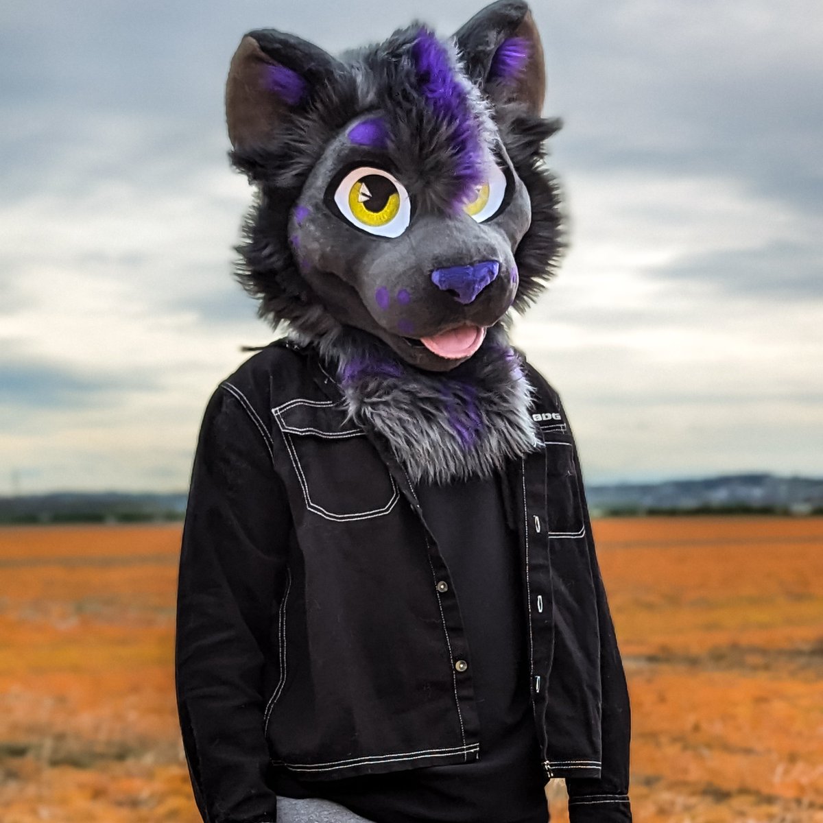 CMD➡️EF 🐆🐆🐆 tweet media