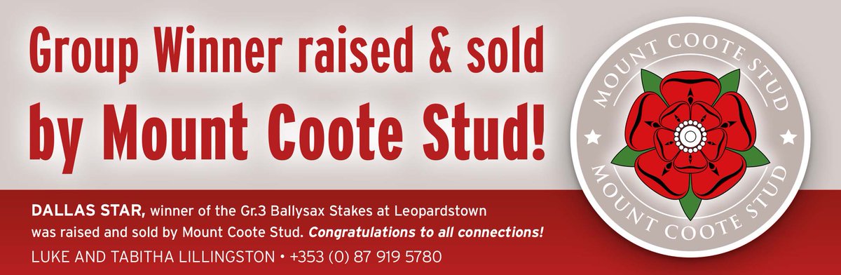 💥 Group winner raised & sold by Mount Coote Stud 💥 🥇 DALLAS STAR, winner of the Gr.3 Ballysax Stakes at @LeopardstownRC was raised and sold by Mount Coote Stud. Congratulations to all connections 👏 📞 Get in touch with Luke & Tabitha Lillingston at +353 (0) 87 919 5780