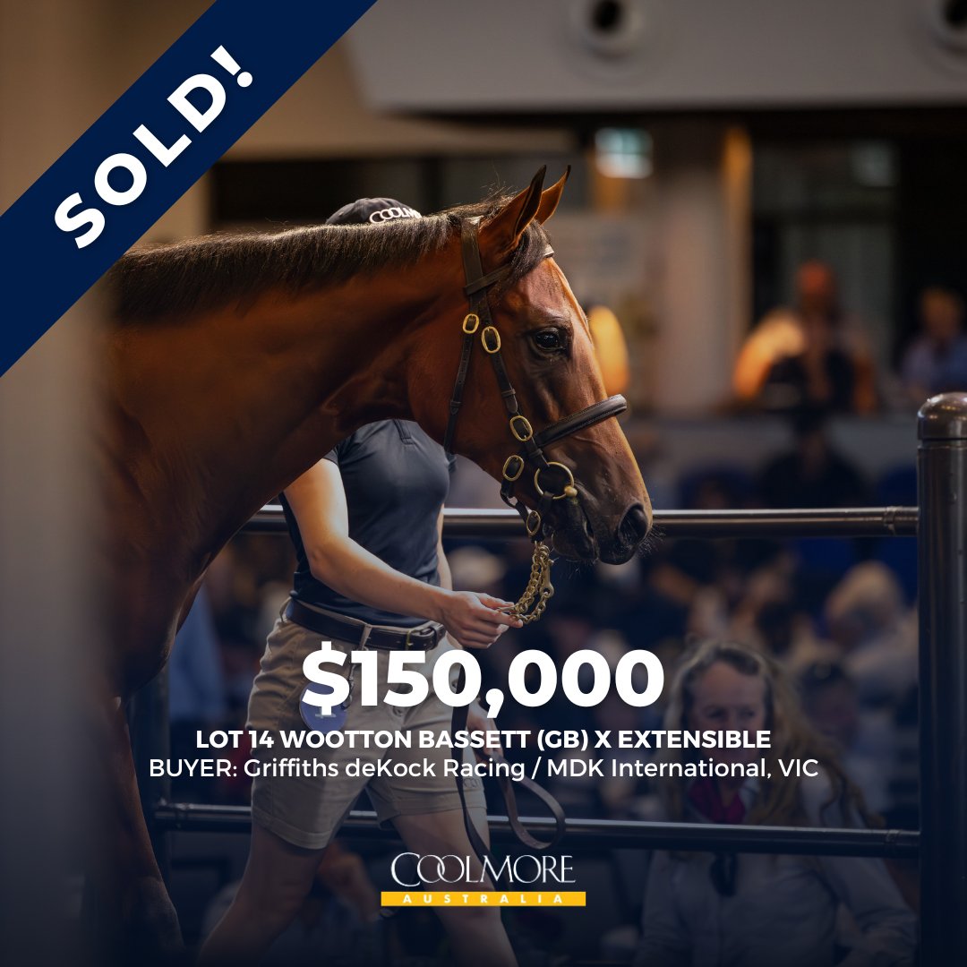 Congratulations to @GriffithsdeKock / MDK International on the purchase of this stunning daughter of Wootton Bassett @inglis_sales. This filly is the third foal for Extensible, a very fast Group performed daughter of Exceed And Excel. #Coolmore #HomeOfChampions