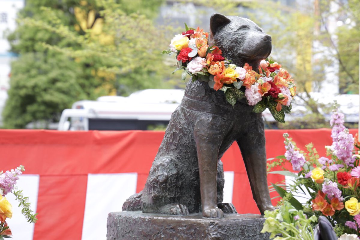 1935年3月8日に亡くなったハチ🐶 本日は渋谷・ハチ公広場にて慰霊祭が