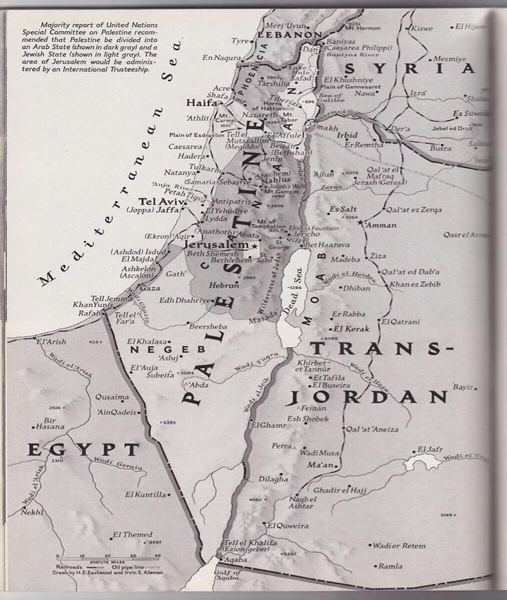 We WILL get our right of return.

#rightofreturn #palestine #nakba

islamicity.org/101140/the-imp…