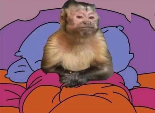 Yo viendo el mensaje de recursos humanos diciéndome que “licencia por eclipse” no existe