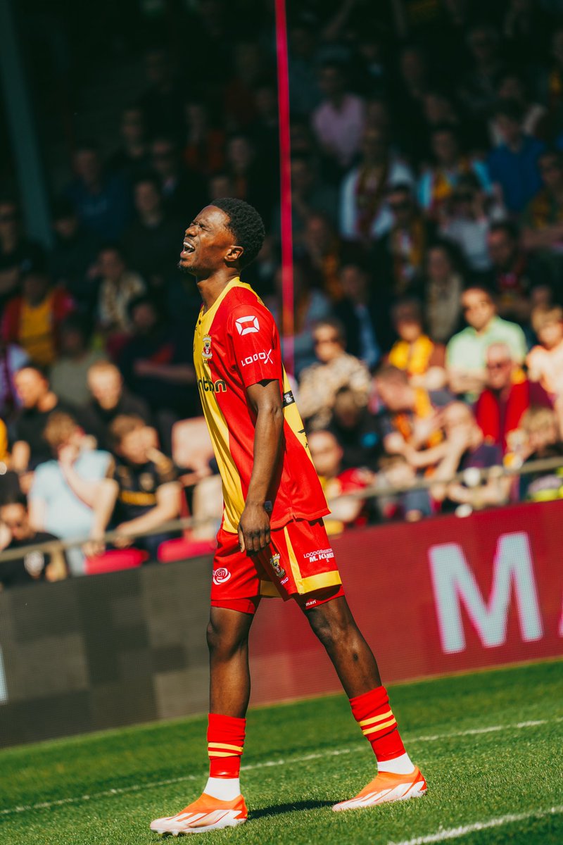 Zoë Petrillo tweet media