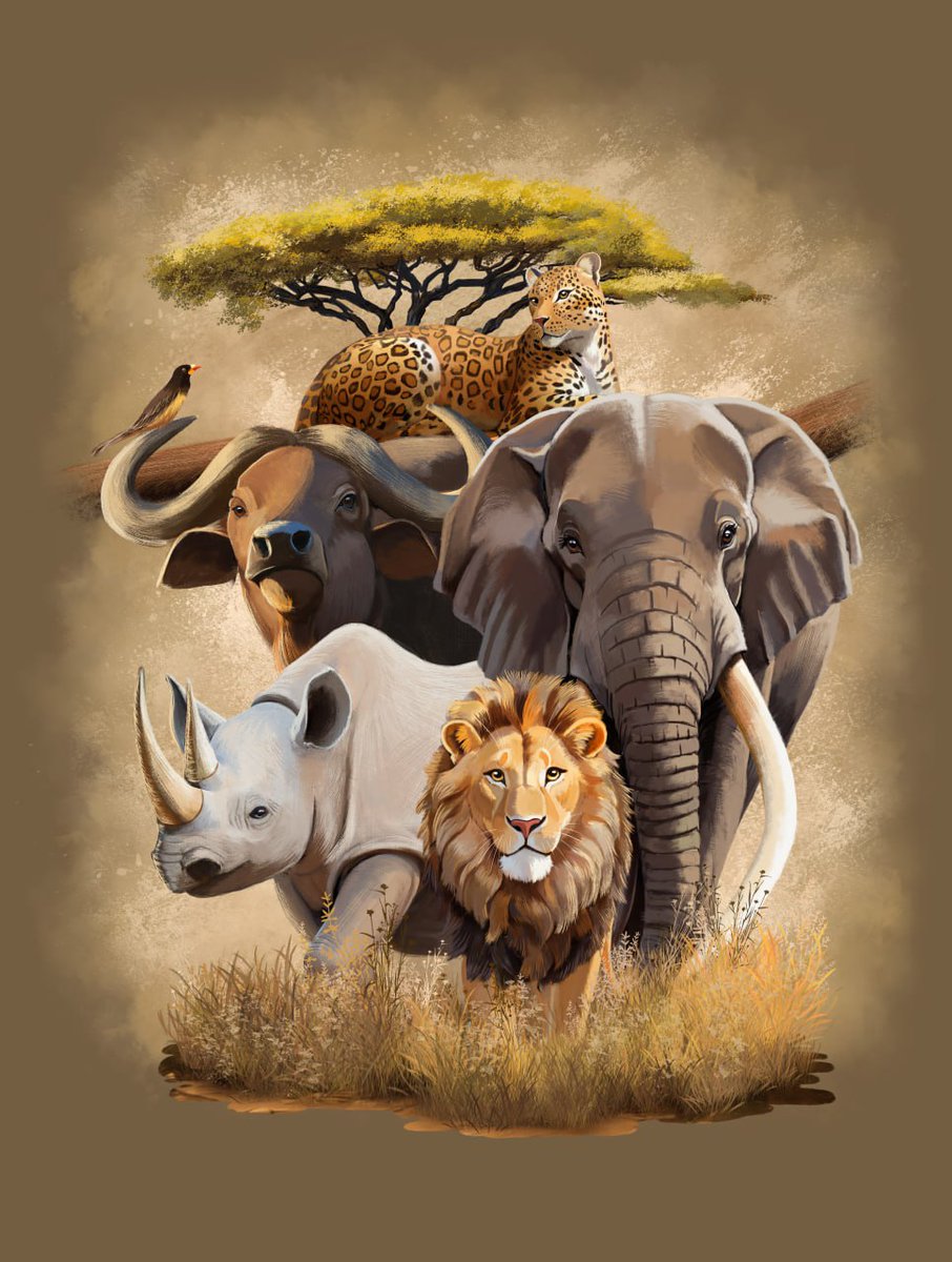 Illustration with African animals for print
#CommissionArt #AfricanWildlife #AnimalArtwork #IllustrationDesign #CustomArtwork #WildlifeArt #CommercialArt #PetArt #AfricanAnimals #WildlifeIllustration #ArtisticAnimals #CustomIllustration #AnimalLovers #ArtLovers #UniqueArtwork