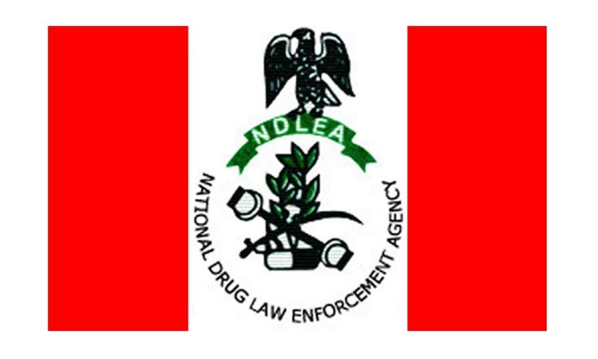 Officers Of Nigeria’s Anti-Narcotic Agency, NDLEA Allege Lopsidedness In Promotion Process, Demand Transparency, Fairness | Sahara Reporters bit.ly/4aJDaEK
