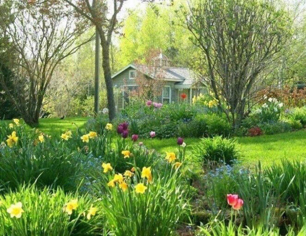 Wishing everyone a nice new week🌷🌾 #springtime 🌷