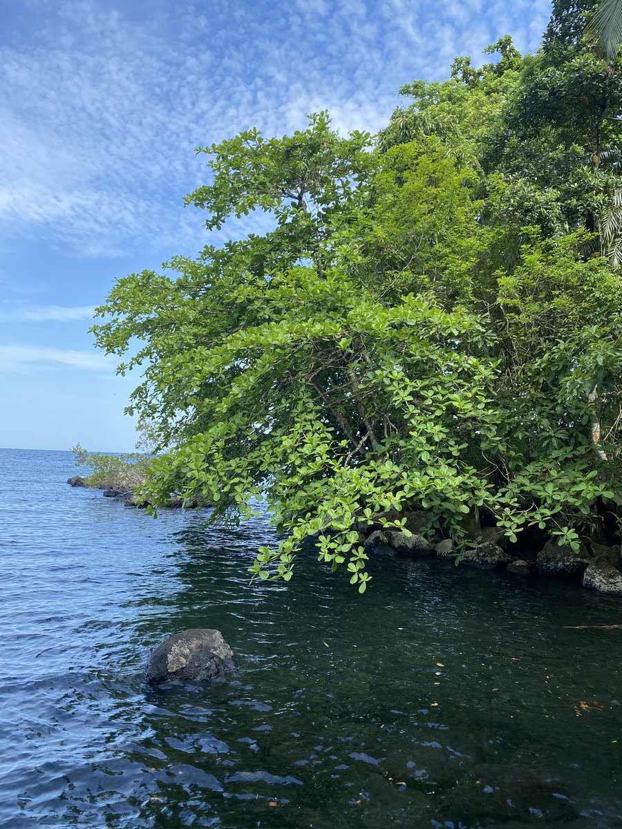 guineaturismo's tweet photo. Los fines de semana en Bioko son hermosísimos y sin duda, una auténtica maravilla para todos aquellos que quieren alejarse del ruido, del estrés, del trabajo y de la urbe.
#GuineaTurismo #guineaecuatorial🇬🇶 #bioko #isladebioko https://t.co/g38WPhRCzB