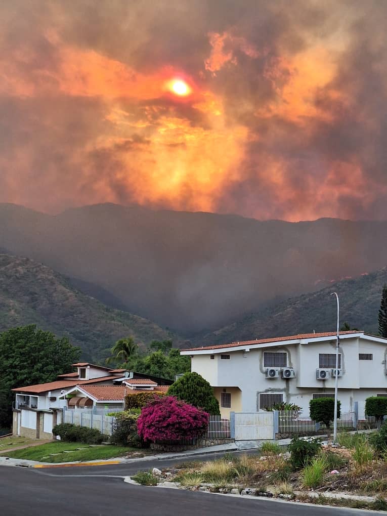 Implementar sistemas de vigilancia forestal adaptados a las características del PN #HenriPittier, junto a un plan de acción integral para mitigación de riesgos, puede contribuir significativamente a la protección de sus ecosistemas y al bienestar de las comunidades aledañas.