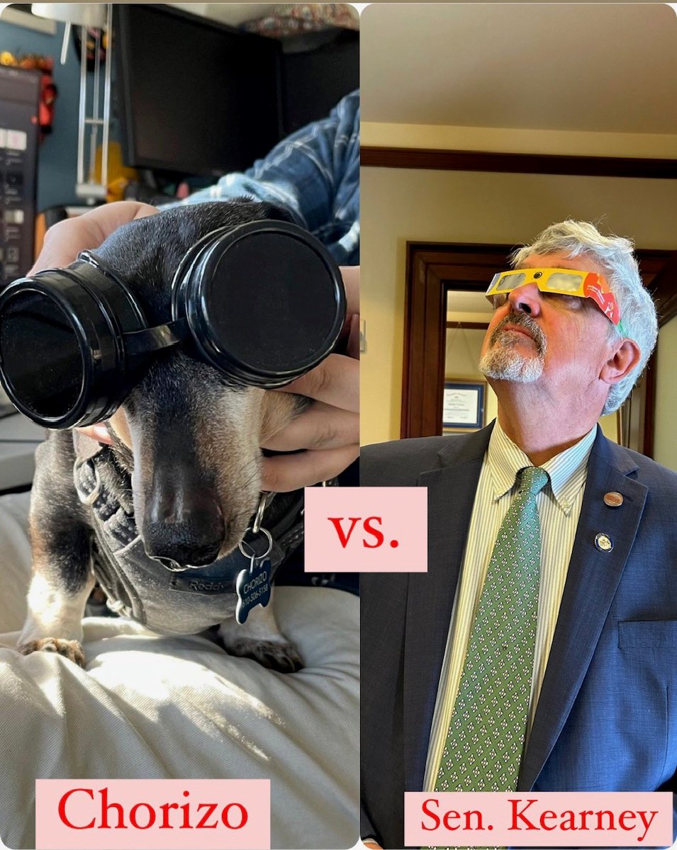 #WhoWoreItBetter Chorizo and I are both ready for the solar eclipse. He's back in Delco, I'm at the Capitol for session. No matter where you are, if you plan to take a peek at the eclipse, make sure you do so safely. 😎 #ProtectiveEyeWear #SolarEclipse #PetsForTheEclipse