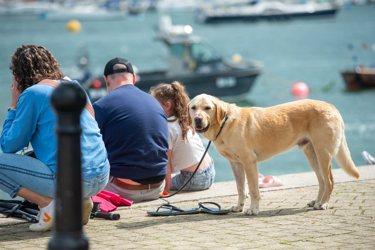 As it's almost the end of April and #NationalPetMonth we'd love to see your photos of your pets enjoying Dartmouth! 📸 🐾 Share them in the comments below! 👇 #DogFriendlyDartmouth