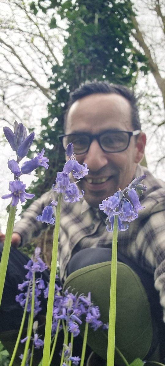 Blue bells in a small copse on the edge of the river frome this morning,good times are here indeed.