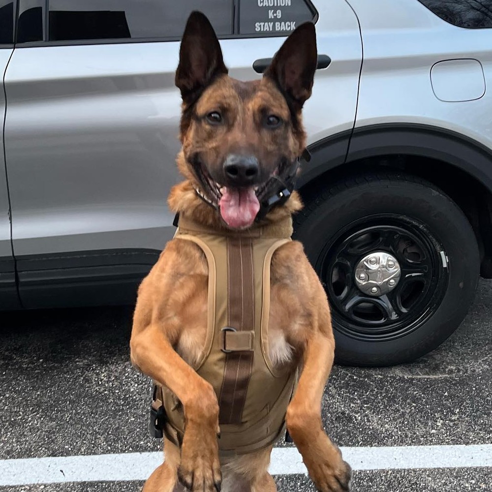 Solana airdrops changing my life...
Love you <a href="/tensor_hq/">Tensor ⚡️</a> <a href="/JupiterExchange/">Jupiter</a>