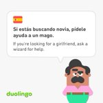 Photo by Strange Duolingo Sentences (@DuolingoStrang)