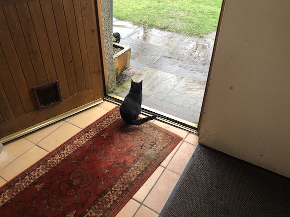 Paths / Mickey / Shallots and leeks dlvr.it/T5DmMg