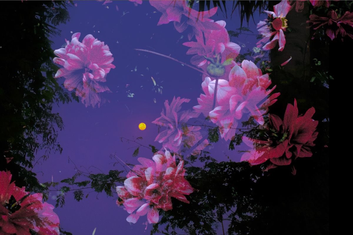 those evenings were the hardest to forget —