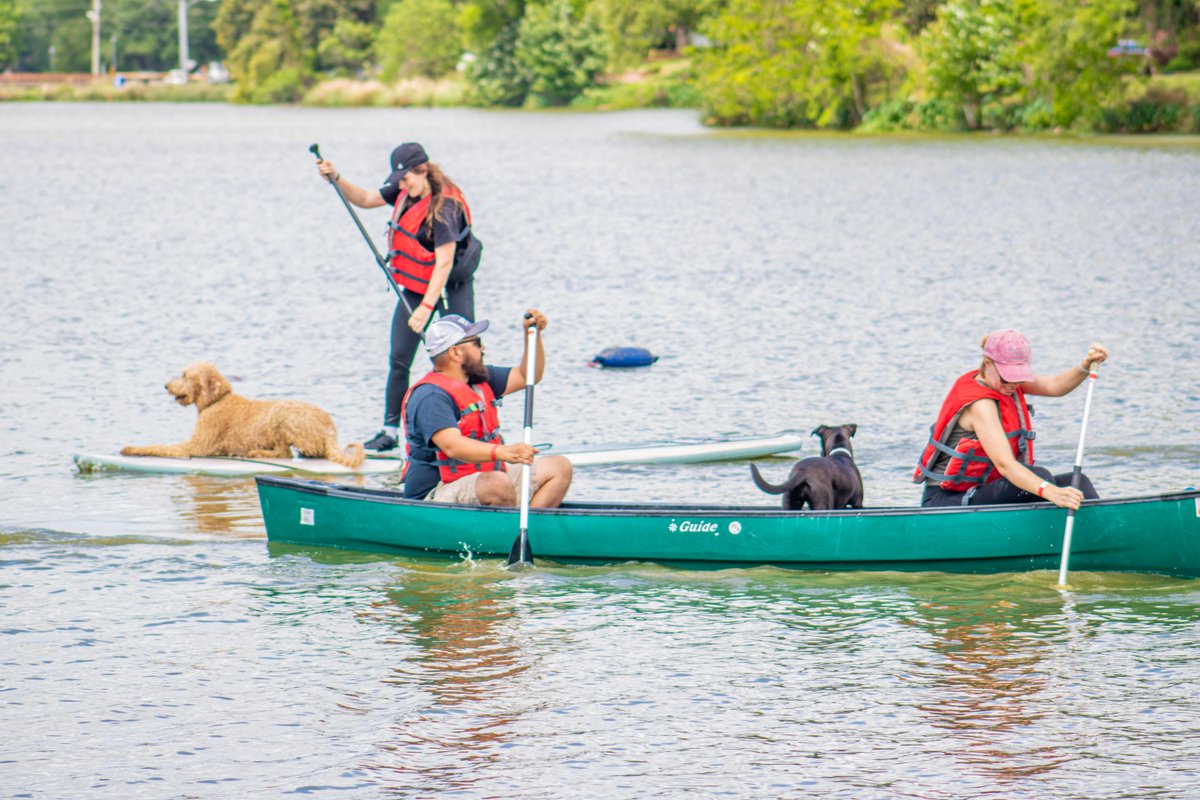🐾🚣‍♀️ Dive into fun with your furry friend at Pets and Paddles on May 4th! 🐶💦 Join us at Milford Wampold Park for a day on the water, supporting Friends of the Animals. 🌟 $10 donation helps our furry friends! ❤️ Don't miss out: brec.org/calendar/detai…
