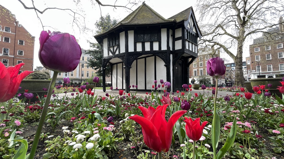 Soho Square #soho