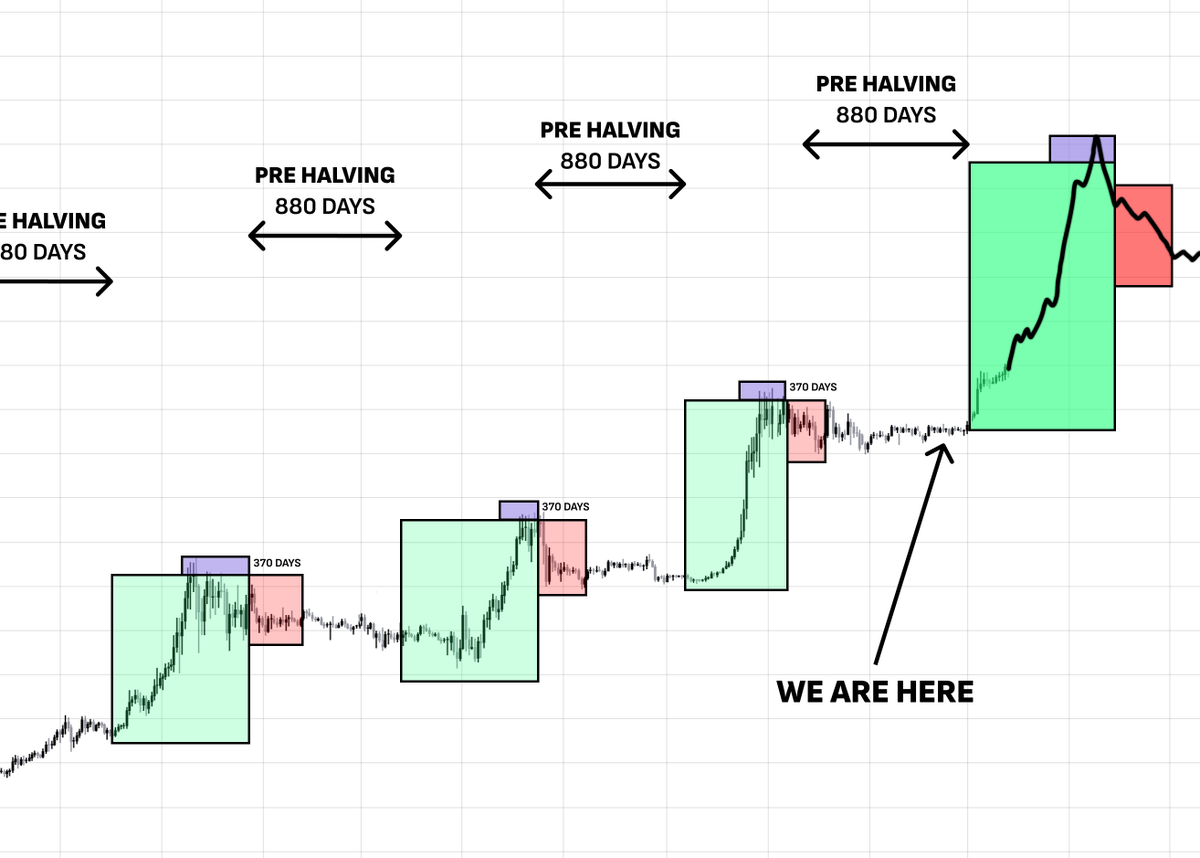 Grayscale recently released a big report on the market, stating that the #crypto bull market is just beginning.

It's a must-read for everyone in crypto.

I read the entire article and made a summary, explaining all the growth triggers.

Make sure to follow me, as as soon as this