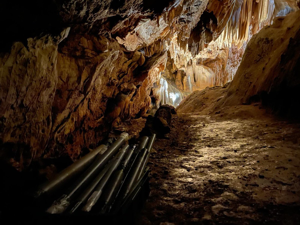Is there a better place than a cave to keep our bat guano cores at the same temperature and stability as they have been for millennia? Thank you @GrotteDesFees #Hérault for your welcome 🙏 #karst #bat #climate #landscape #Occitanie @umr5608_traces @CNRS_Toulouse