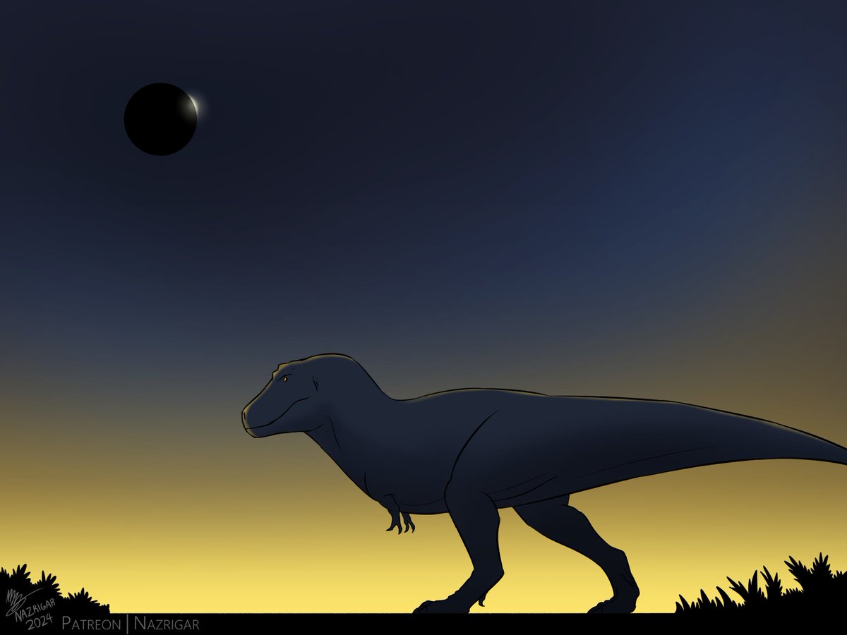 With all the hullabaloo of the Eclipse in the USA, I doodled this. A Tyrannosaurus beneath a solar eclipse. Supposedly, due to the moon being closer in the mesozoic, it would have completely covered the sun. #paleoart #SolarEclipse2024 #solareclipse #dinosaurs