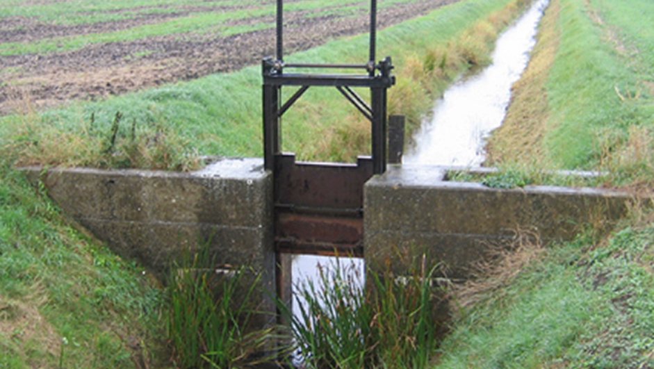 We're running 2️⃣ online workshops aimed at those in farming or #horticulture who have experience with (or an interest in) wet #peatlands farming/#paludiculture. Share your thoughts on how to raise the water table while protecting yields
🗓️Friday 19 Apr
➡️paludiculture.org.uk/events