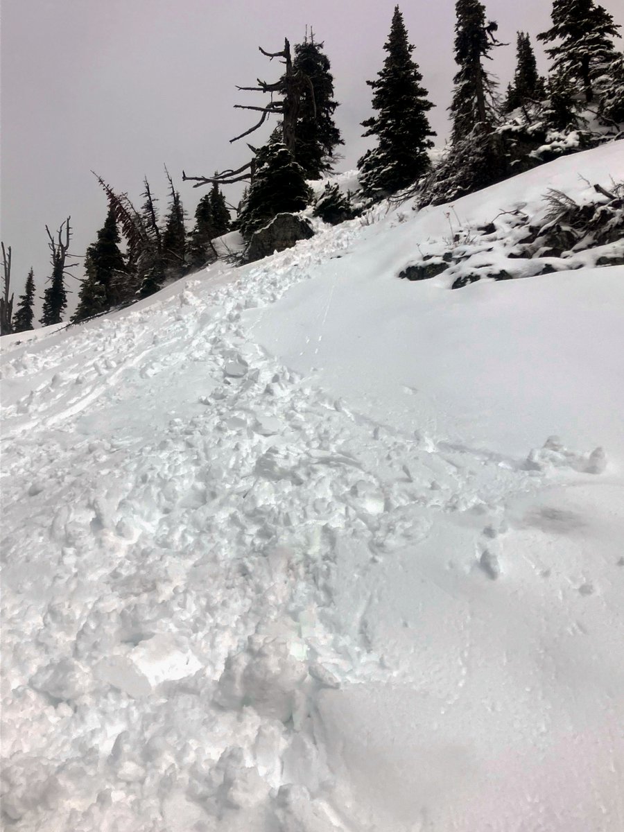 You could trigger a soft slab avalanche in the recent snow, while today's strong April sunshine will develop wet loose avalanches. Today is our last daily forecast for the season, and we will issue snowpack updates every Tuesday and Friday by 5:00 p.m. flatheadavalanche.org