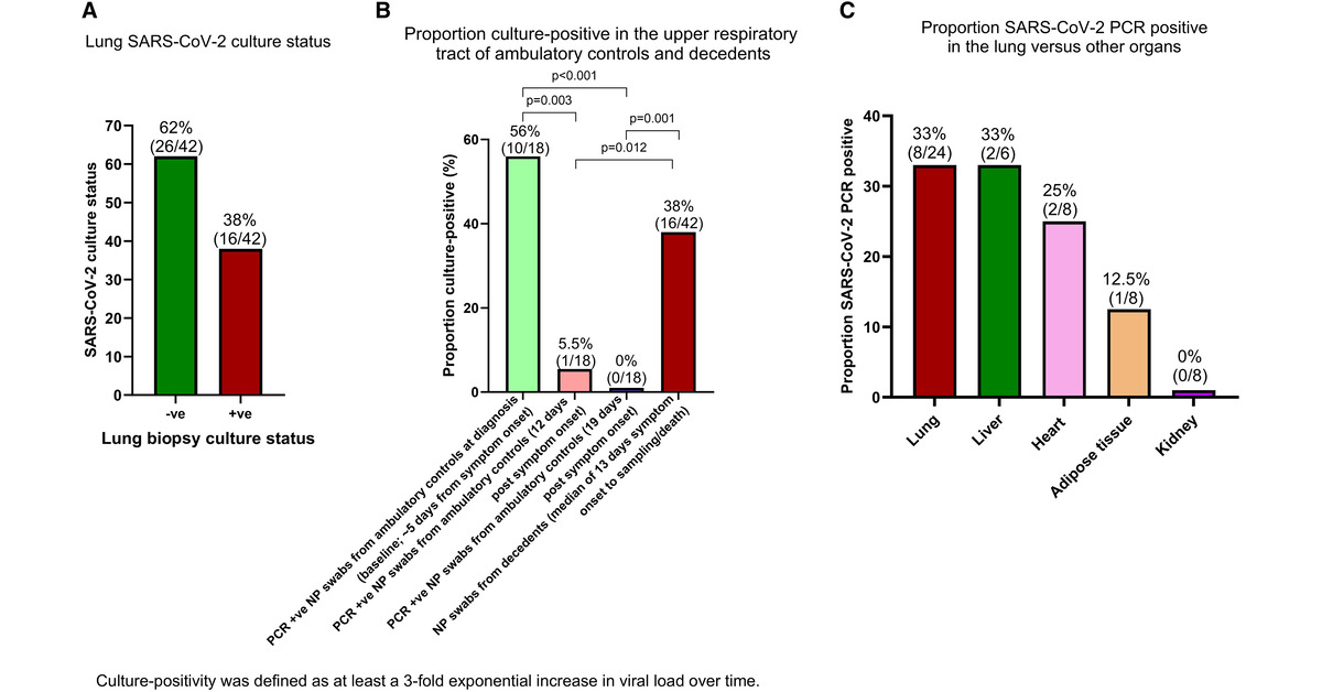 SARS-CoV-2 Viral Replication Persists in the Human Lung for Several Weeks after Symptom Onset 🔓 Open Access 🔗 bit.ly/3xlCveh