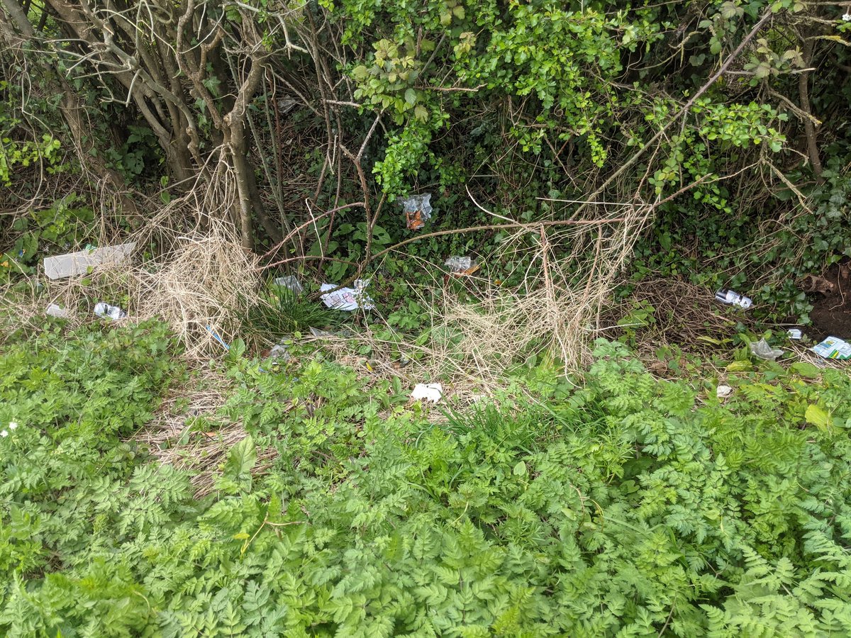 Two #A38 #laybys that I call @McDonaldsUK 1&2 as they are the first pit-stops after the local 🍔 drive-thru. #Plastic sauce tubs abound here opened & unopened. Just over 1,000 #litter items supporting @StroudDC @TruckersUp @Litter_stroud