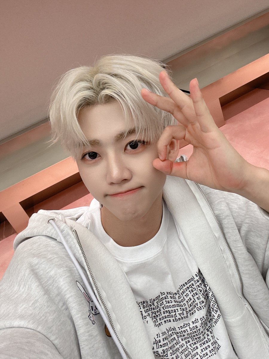 자몽 tweet media