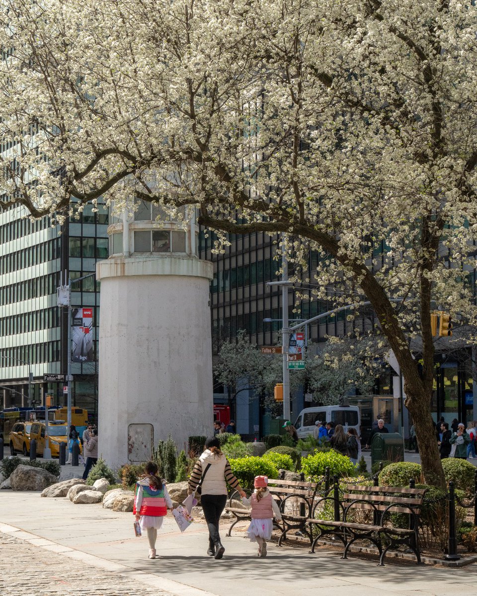 Spring blooms around every corner 🌼 Get Lost. Find New York. #TheSeaport
