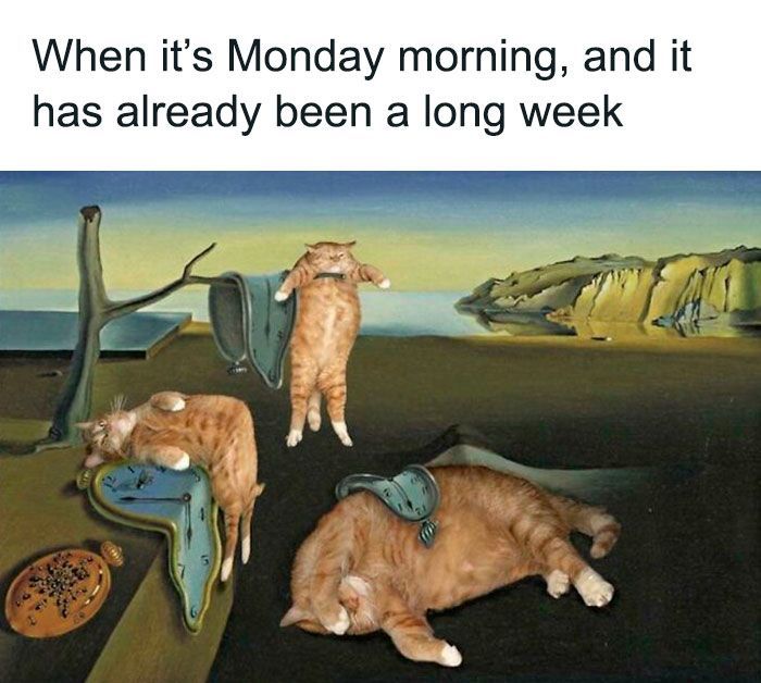 OBXListings's tweet photo. 🐱 ⏰ Check out the newly listed homes for sale on the Outer Banks: https://t.co/8WfM6Rm9Wi #obx #obxrealestate #outerbanks #outerbanksrealestate #newlistings #forsale #beachlife #coastalliving #dreamhome Coldwell Banker Seaside Realty https://t.co/xcjEvqD8WT