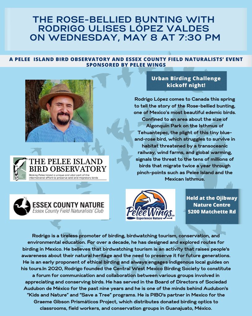 Sponsored by #PeleeWings and hosted by the #EssexCountyFieldNaturalists Join us for the first of 3 talks by Rodrigo Lopez Valdes.