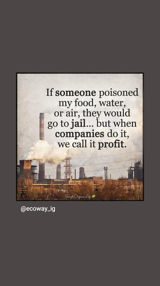 Samita Kaur tweet media